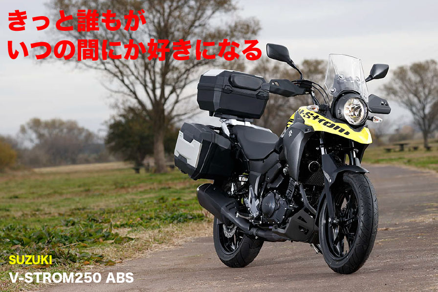 きっと誰もが いつの間にか好きになる SUZUKI V-STROM250 ABS - WEB Mr.Bike